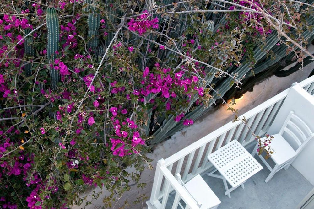 Fresh Boutique Hotel Mykonos Town Exteriör bild